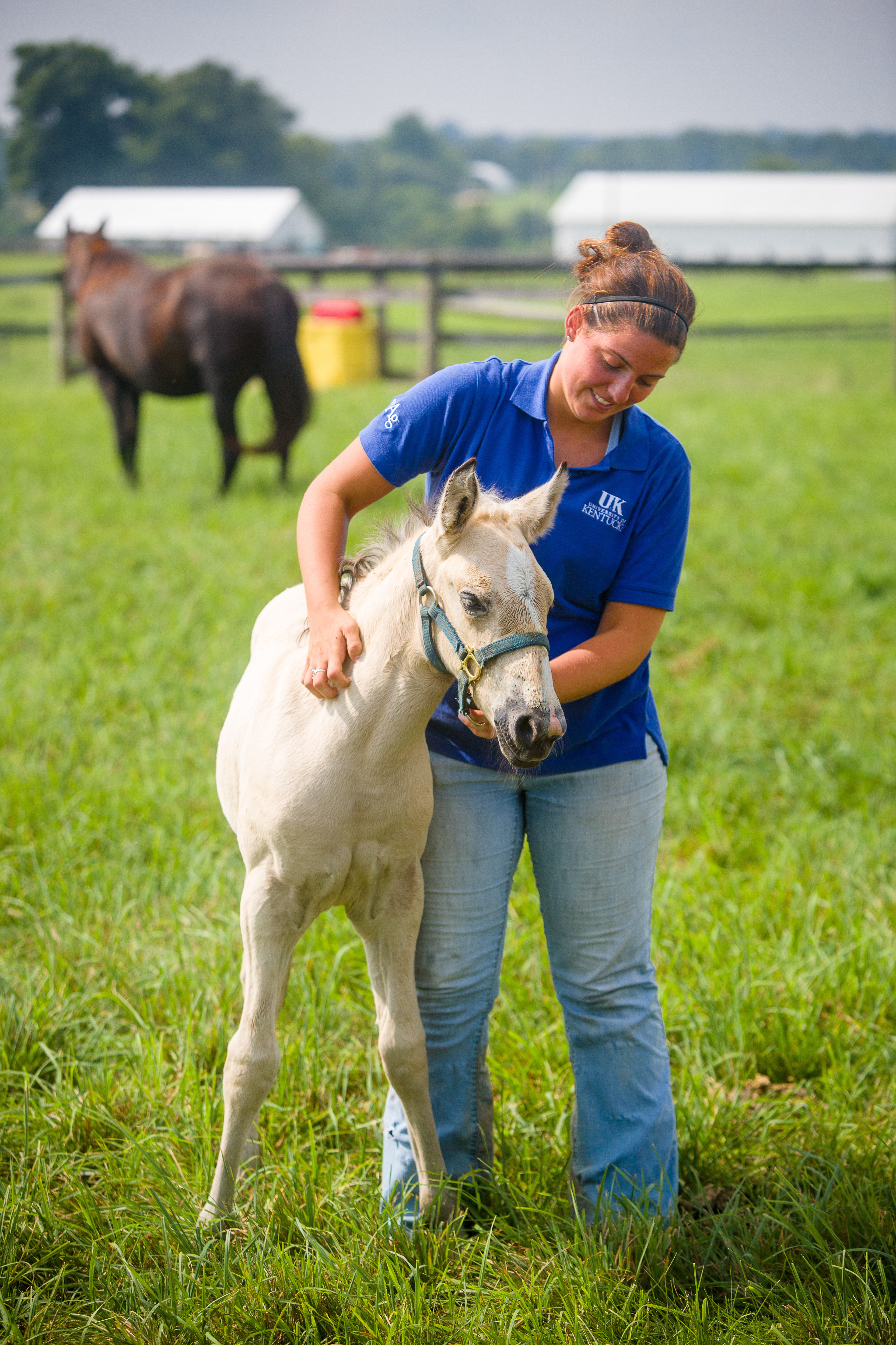 Foal_Farm_Student_Photo