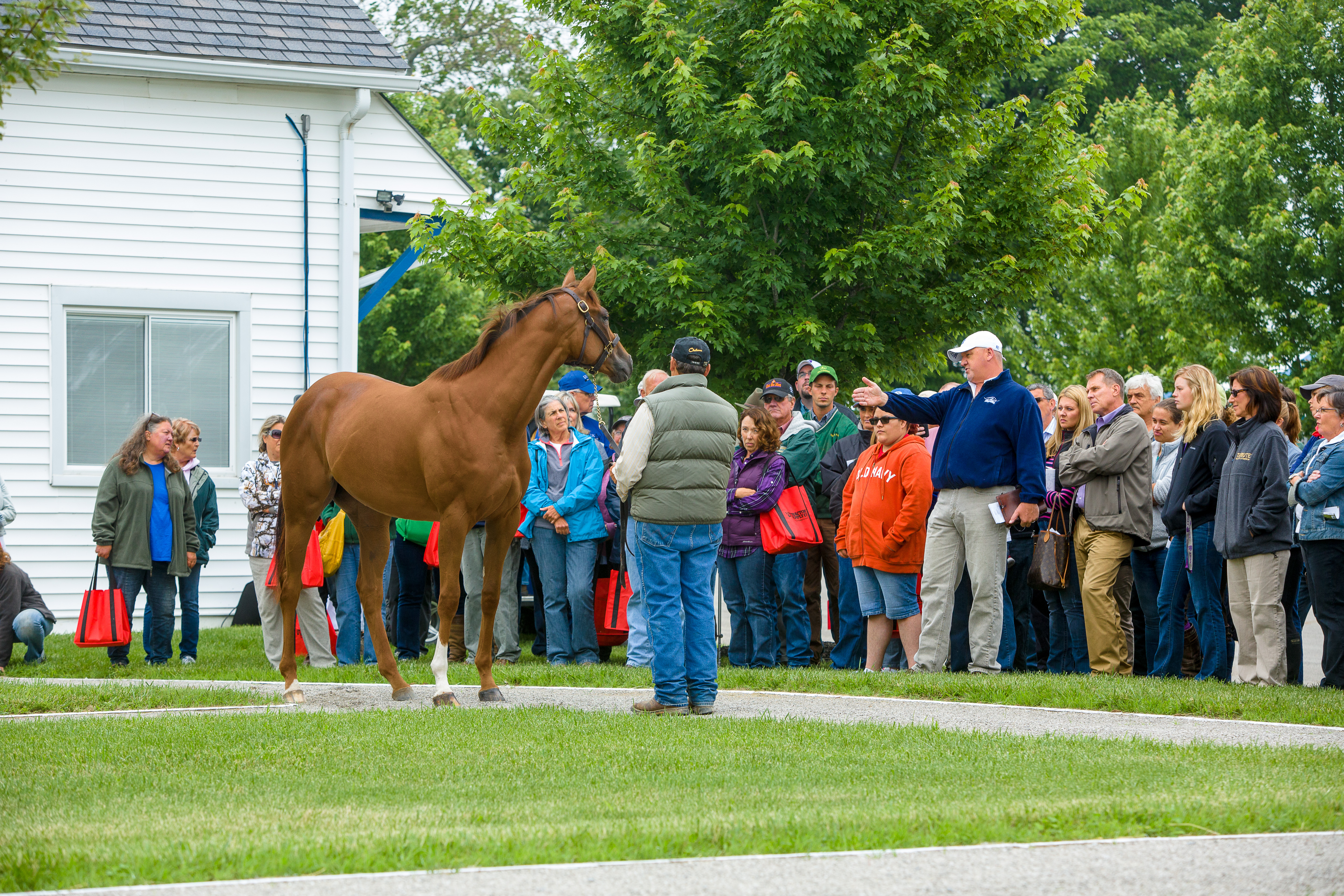 Crowd onlooking a horse at field day at McPeek Racing