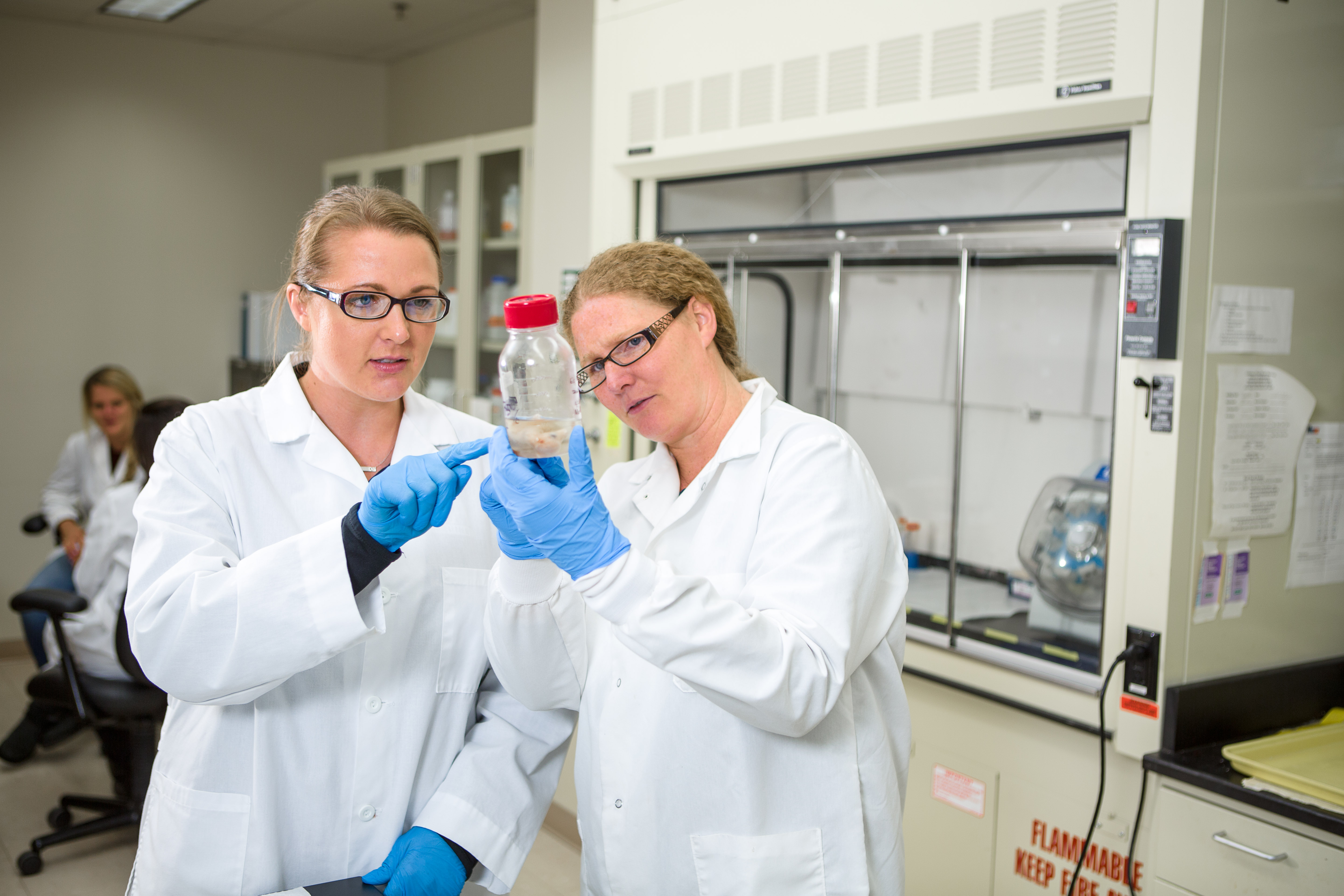 Two researchers in the lab