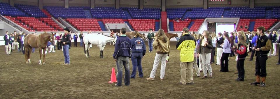 4-H Roundup Event