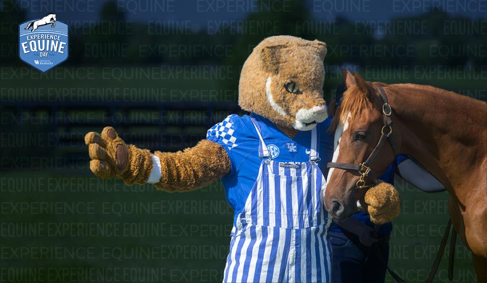 Kentucky Wildcat with a horse at Experience Equine Day