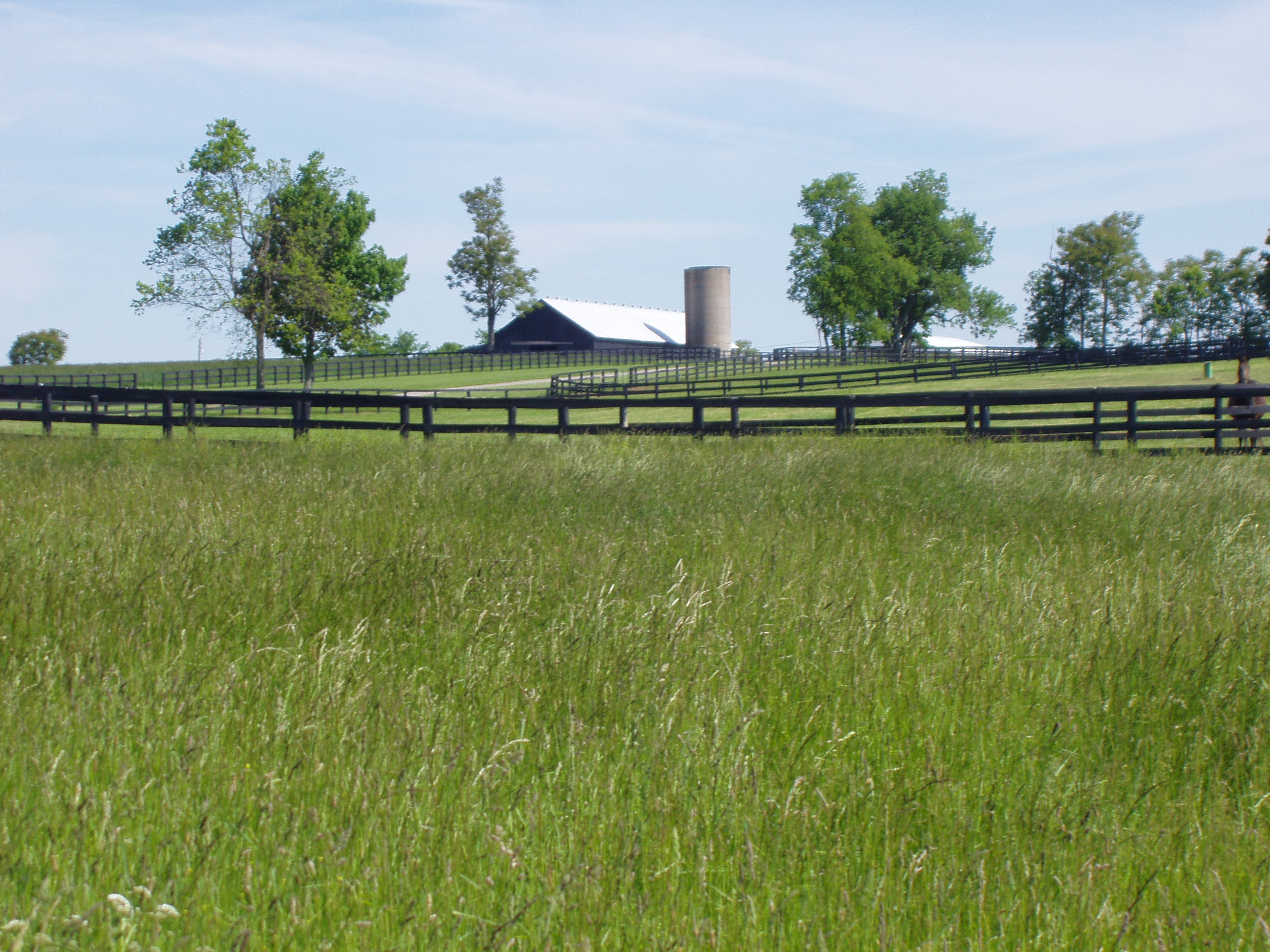 Farm_photo