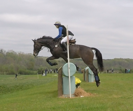 Here, a competitor contacted a fence in the critical forearm region, but did not rotate.