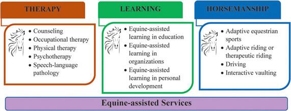 Recommended terminology for 12 distinct types of services and for multiple services. (Wood, et. al.)