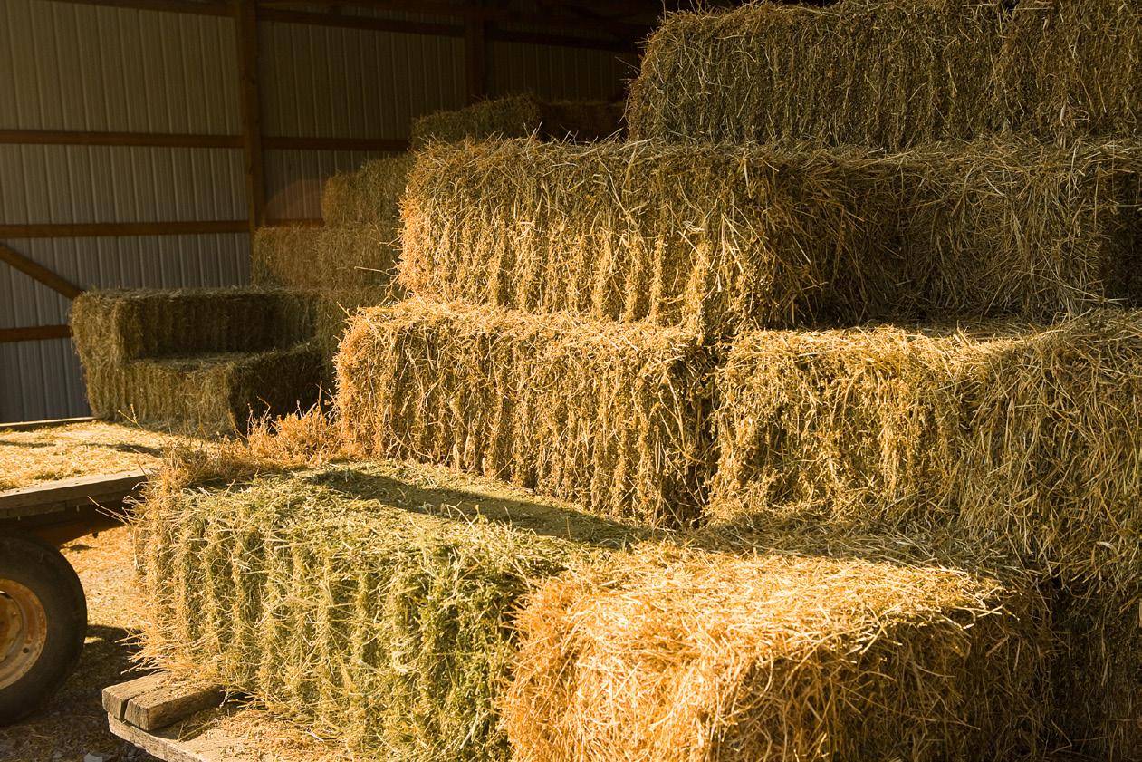 hay stacks