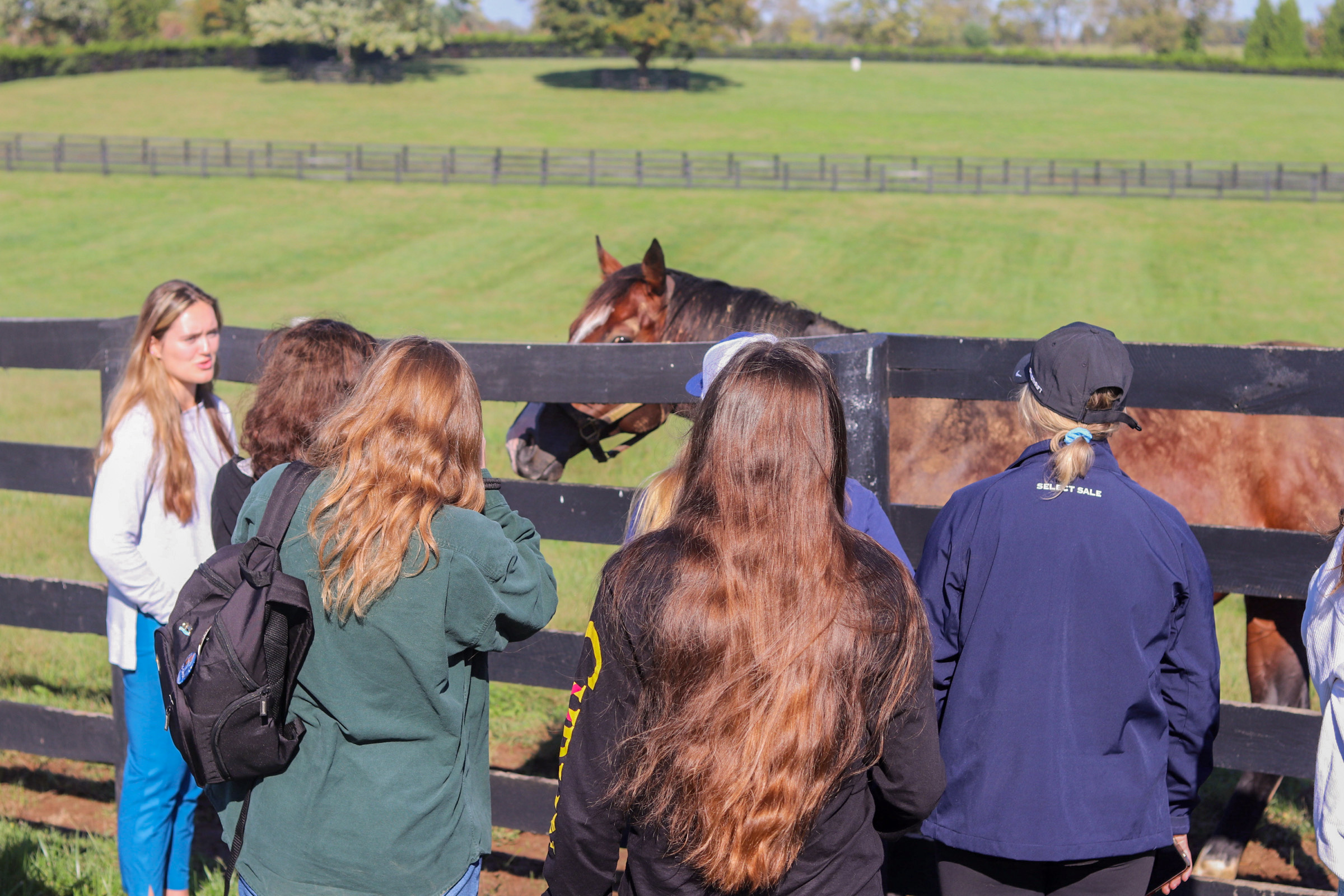 Club members visiting a horse farm.