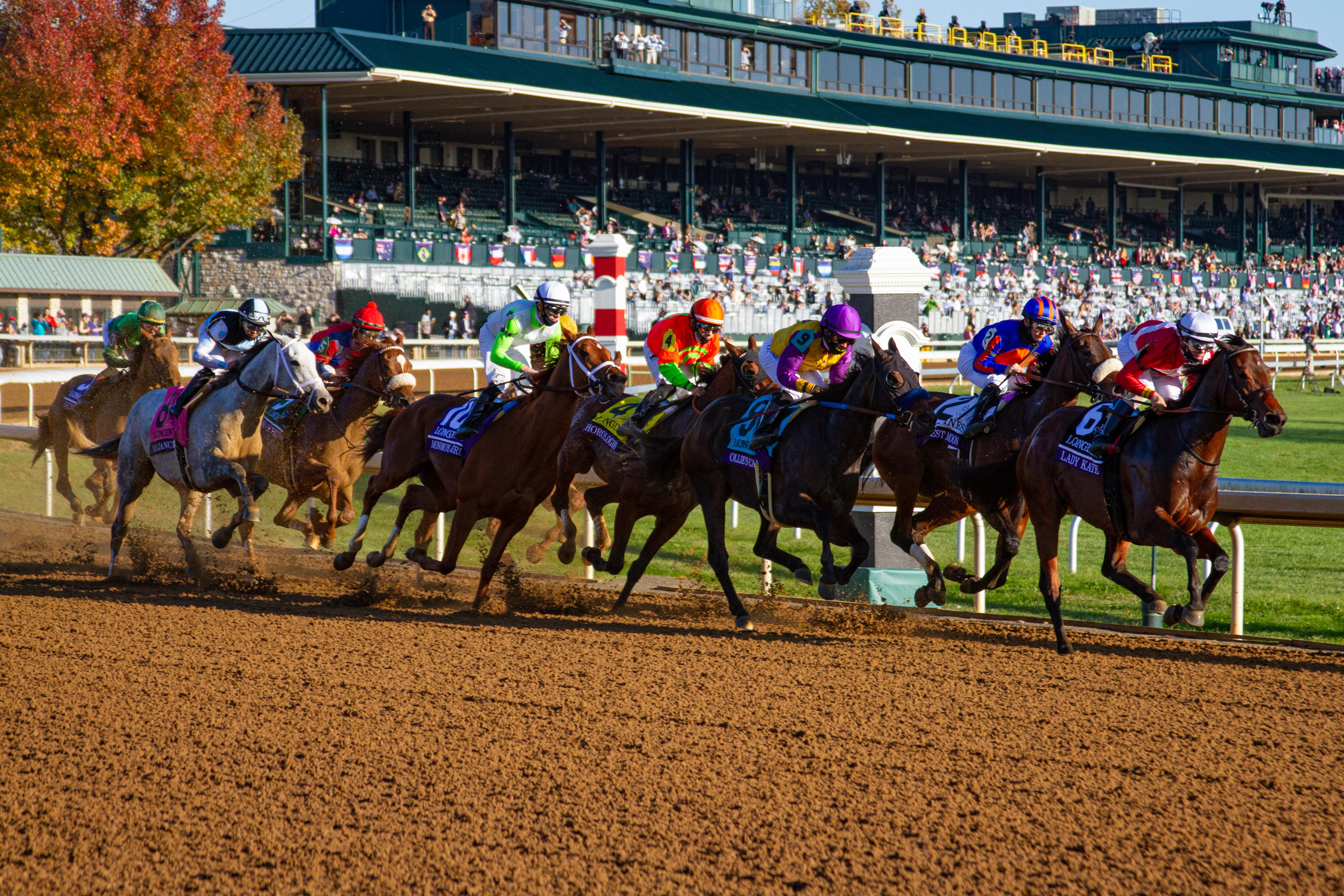 Horses and jockeys racing