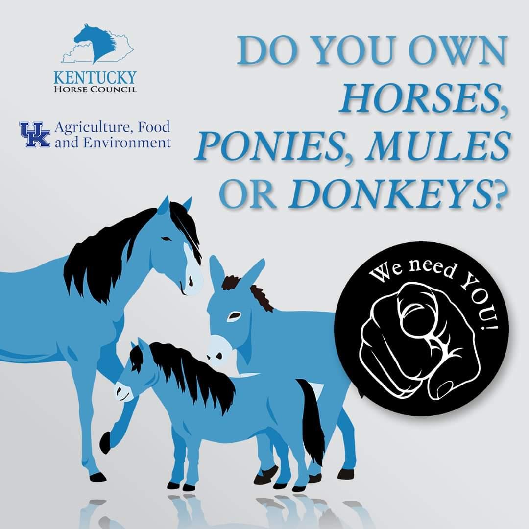 KHC graphic for KY Equine Survey