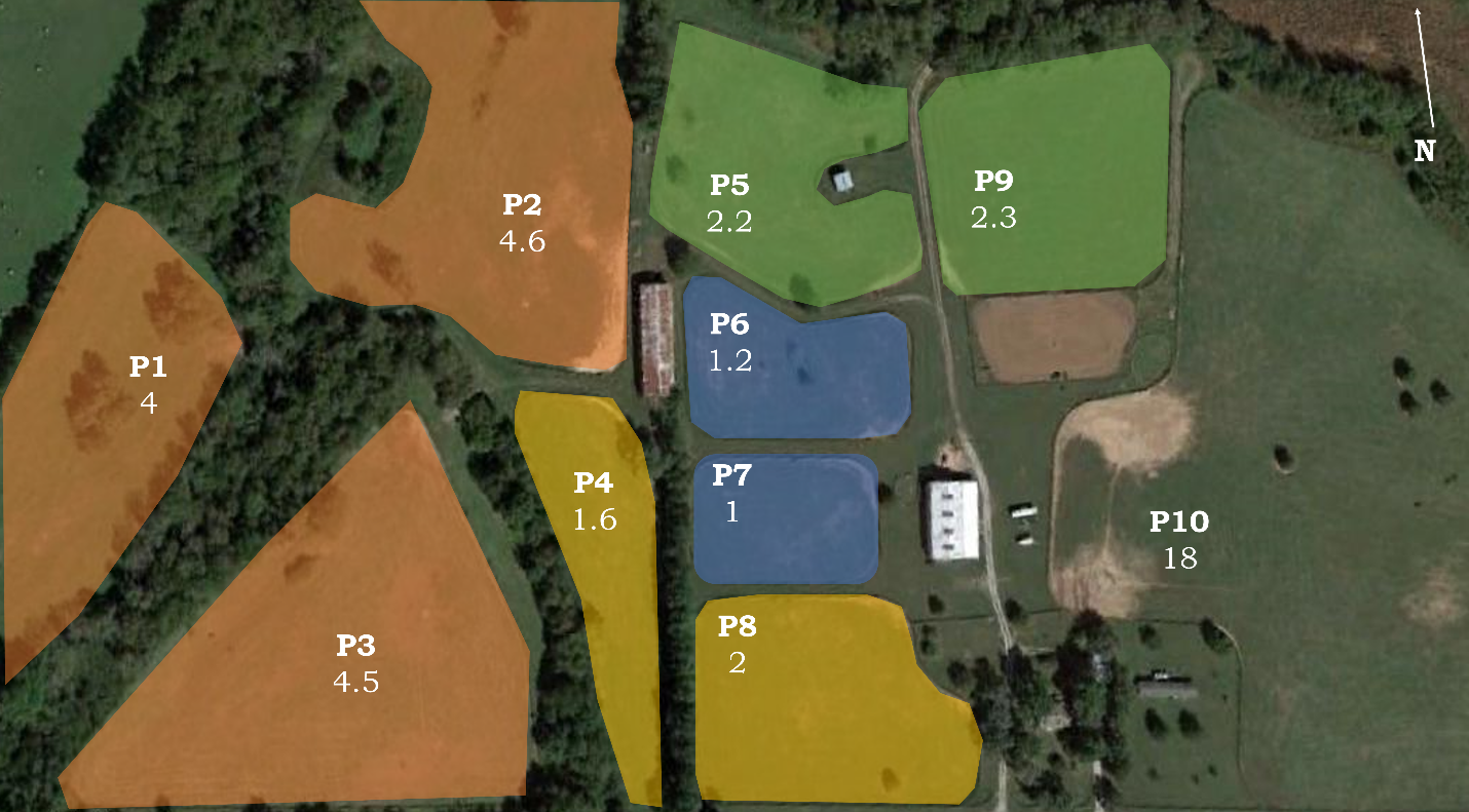 For this farm in Mercer County, Kentucky, a paired paddock system worked best. Pairings were based on size and location. By grouping paddocks 1, 2 and 3 together, these are allowed greater rest and increased utilization. Photo courtesy Krista Lea.