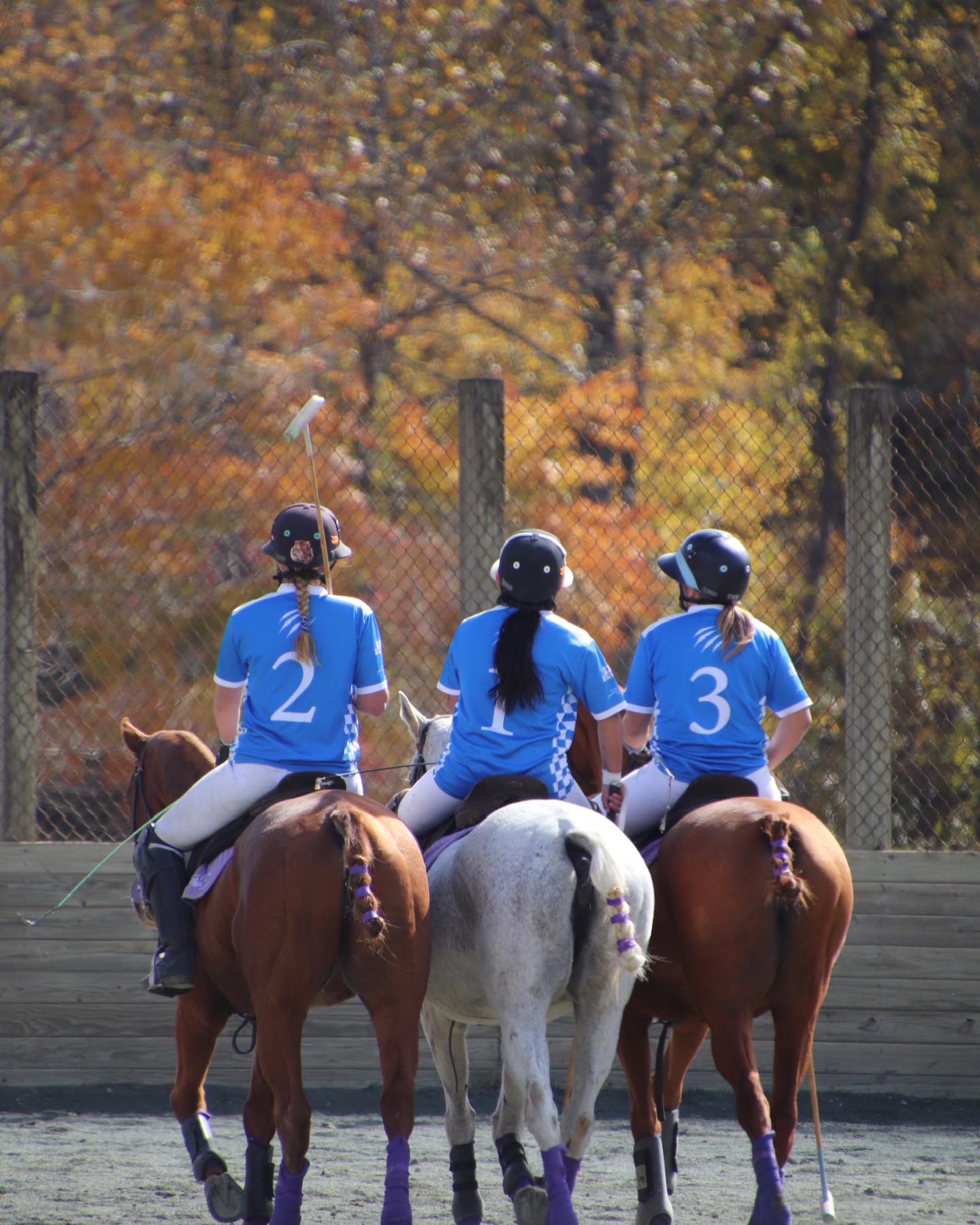 Polo team members riding together