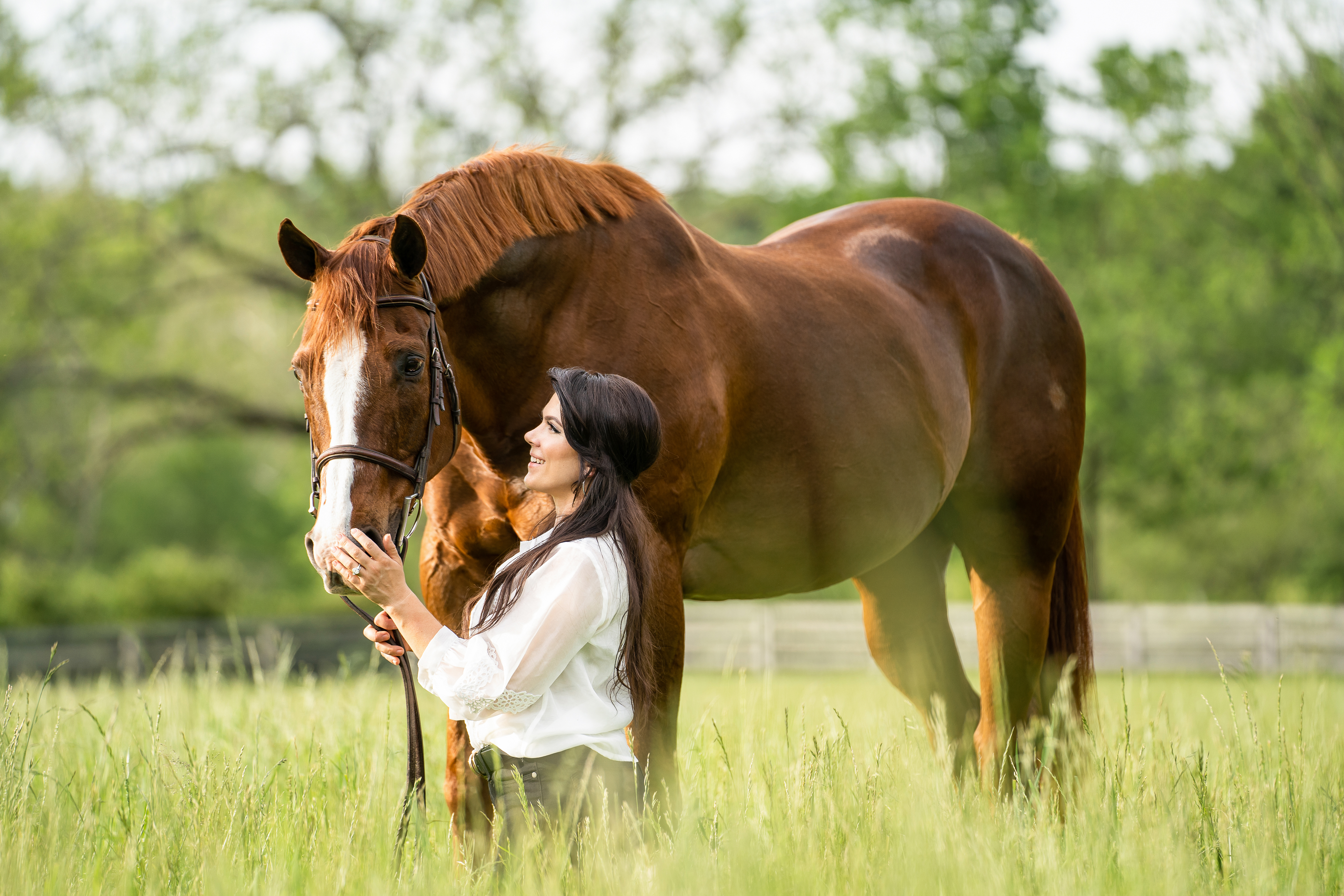 Open Division Horses and People winning photo by Victoria Siebe