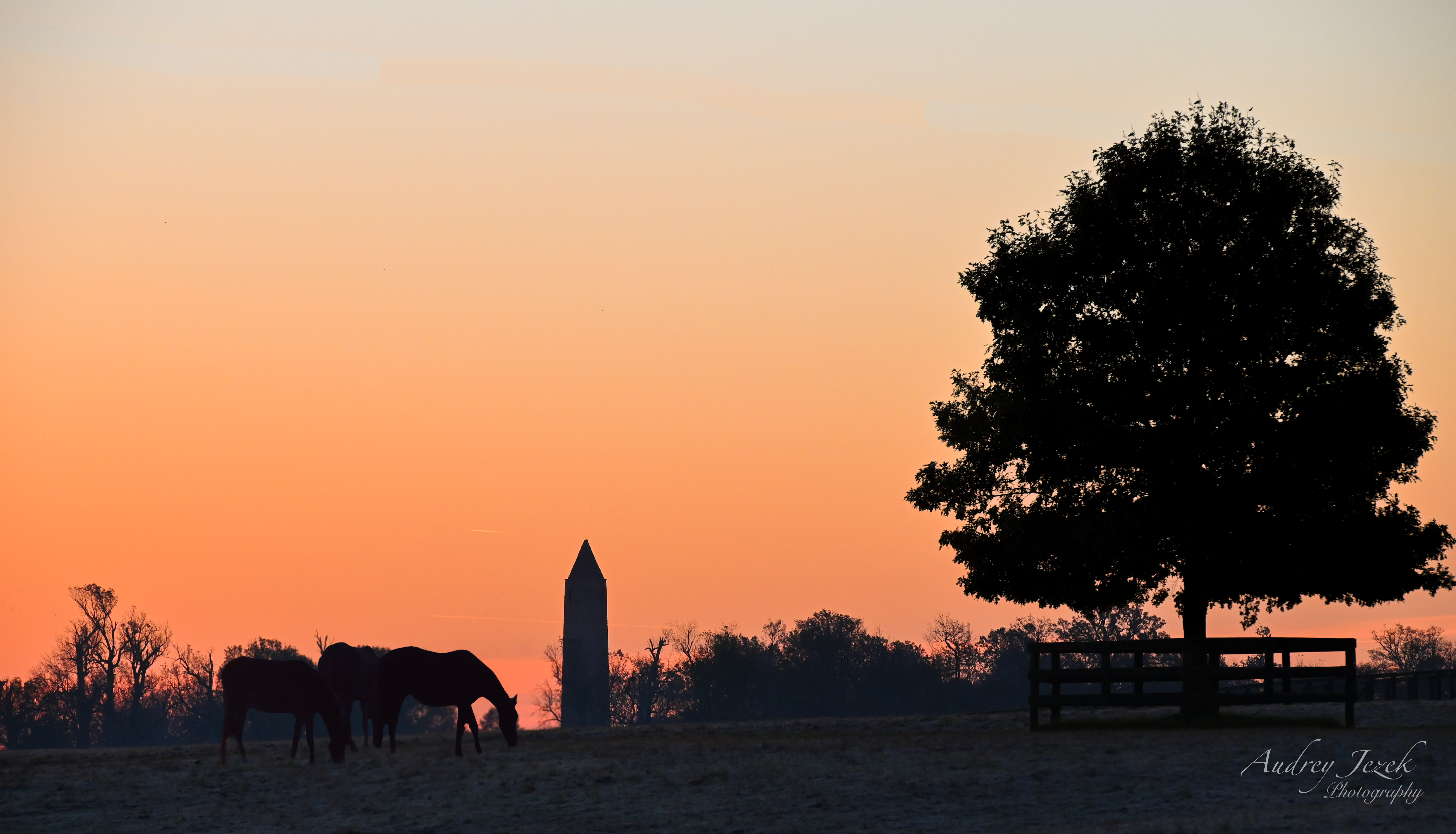 UK Student Division Landscape winning photo by Audrey Jezek